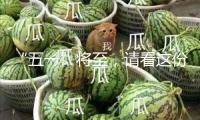 “五一”將至，請看這份消費避“坑”攻略