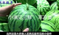 “小滿見三鮮” 寒涼食物需適度 夏天宜“睡好兩覺”
