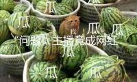 “問題”主播竟成網紅 違法犯罪閱歷豈能作流量暗碼