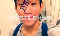 牙簽攪水缸是什么梗
