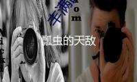 瓢蟲的天敵