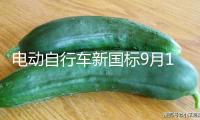 電動(dòng)自行車新國(guó)標(biāo)9月1日落地 第一批6家檢測(cè)組織出爐