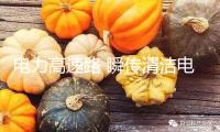 電力高速路 瞬傳清潔電