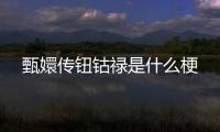 甄嬛傳鈕鈷祿是什么梗