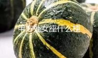 甲方處女座什么梗