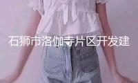 石獅市洛伽寺片區(qū)開發(fā)建造指揮部建立