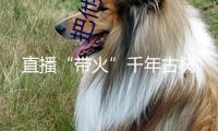 直播“帶火”千年古樹