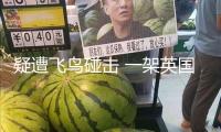 疑遭飛鳥碰擊 一架英國(guó)航空公司航班備降波士頓機(jī)場(chǎng)