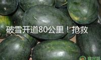 破雪開(kāi)道80公里！搶救4歲幼童 高原上開(kāi)出生命通道