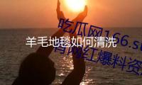 羊毛地毯如何清洗