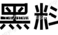 十年方針轉向 德內政部長稱回絕無證移民入境