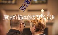 原油價(jià)格戰(zhàn)劍拔弩張？沙特不想再忍，領(lǐng)銜多個(gè)產(chǎn)油國(guó)加快增產(chǎn)