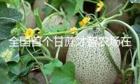 全國首個甘蔗才智農(nóng)場在廣西崇左建成