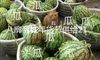 八廓商城年貨節(jié)供給213個免費貨攤