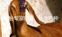 假扮專家明星、秒變各種身份 “智能體”會改動日子嗎？