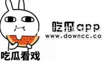 加拿大溫哥華產(chǎn)生駕車(chē)抵觸人群事情 司機(jī)已被警方操控