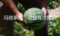 馮德萊恩：歐盟有才能抵抗美國關(guān)稅