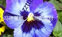 馮德萊恩：歐洲正面對(duì)“分水嶺時(shí)間”