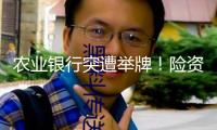 農(nóng)業(yè)銀行突遭舉牌！險(xiǎn)資持續(xù)買入