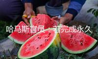哈馬斯官員：若完成永久?；?可交出加沙地帶控制權