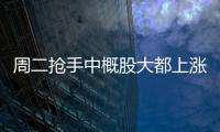 周二搶手中概股大都上漲 抱負轎車漲超13%