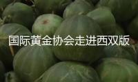 國際黃金協(xié)會走進西雙版納，“黃金書屋”看護村莊孩子閱覽夢