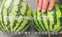 國際黃金協(xié)會CEO泰達維：“黃金247”方案勢在必行
