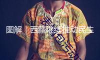 圖解｜西藏繼續(xù)推動民生工作獲得新進(jìn)展