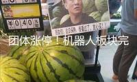 團(tuán)體漲停！機(jī)器人板塊完全迸發(fā)！