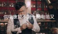 供電康復(fù)不到一周電纜又被偷走 西班牙多地鐵路又停了