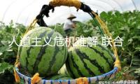 人道主義危機難解 聯(lián)合國稱加沙遭受“最嚴(yán)酷階段”