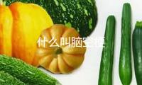 什么叫腦空梗