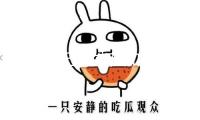 以軍稱已開端在加沙的新一輪大規(guī)模攻勢