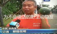 為不會說話的野生動物發(fā)聲——青藏高原生態(tài)維護(hù)社群共創(chuàng)活動在成都舉行