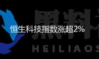 恒生科技指數(shù)漲超2%