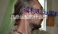 我命運(yùn)般的什么梗