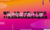 我開空調(diào)了是什么梗