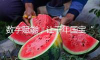 數(shù)字賦能，讓千年國寶“活”起來