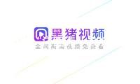 更多“洋面孔”參加春運(yùn)大潮！長三角鐵路春運(yùn)發(fā)送旅客9900萬人次