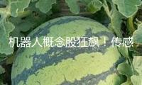 機(jī)器人概念股狂飆！傳感器成暗地“大明星”？三家公司弄清事務(wù)細(xì)節(jié)