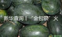 新華查詢丨“金包銀”火了，能定心“入”嗎？