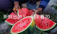新鮮出爐！一同來看2025年高考語文作文題