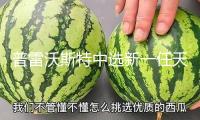 普雷沃斯特中選新一任天主教羅馬教皇