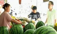 歌曲先生再見(jiàn)