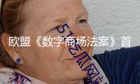 歐盟《數(shù)字商場(chǎng)法案》首開(kāi)罰單 劍指美科技巨子獨(dú)占