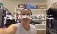 歐盟發(fā)表聲明支撐烏克蘭30天停火呼吁