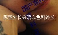 歐盟外長會(huì)晤以色列外長 呼吁停火并康復(fù)人道主義救援