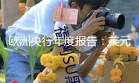 歐洲央行年度報告：美元在全球外匯儲備中占比下降