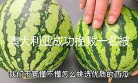 澳大利亞成功挽救一名被困海上的立陶宛劃船運(yùn)動(dòng)員