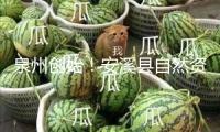 泉州創(chuàng)始！安溪縣自然資源“一張圖”體系上線